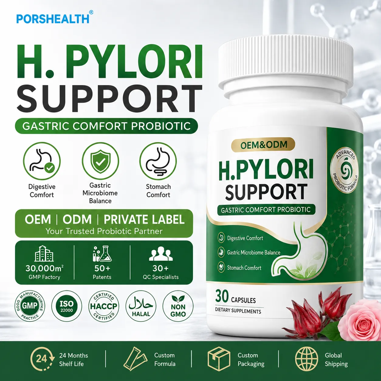 H. Pylori Control | Formule Probiotique & Santé Gastrique (Capsules)